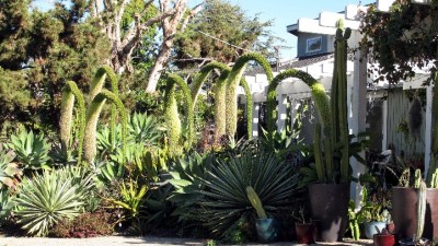 The Lush Gardens of Encinitas