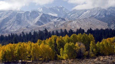 Mammoth's Leaf Peeper Deals