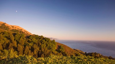 Big Sur Photo Safari