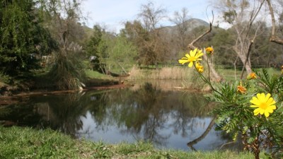 Touring Anjelica Huston's Garden