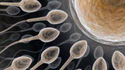 Study: More Sex May Help Damaged Sperm