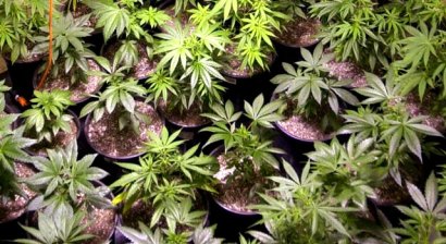 A medical marijuana bill has already passed in the state senate.  Today it passed a general assembly committee.