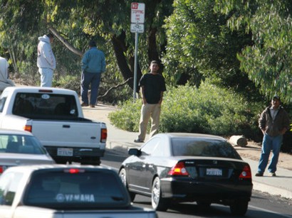 Day laborers wait for work along El Camino Real in Carlsbad last Thursday
