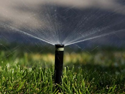 The days of water guzzling lawns could be drying up.
