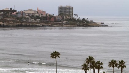 Mayor Vows to Wipe Out La Jolla Bird Stench