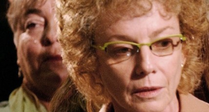 State to Pay for Former Senator's Wild Ride