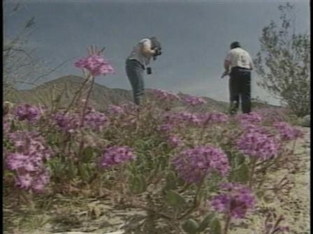 How State Park Cuts Are Bad for Movie Business