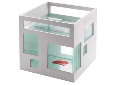 Fish Hotel
