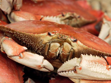 S.B.'s Harbor and Seafood Festival