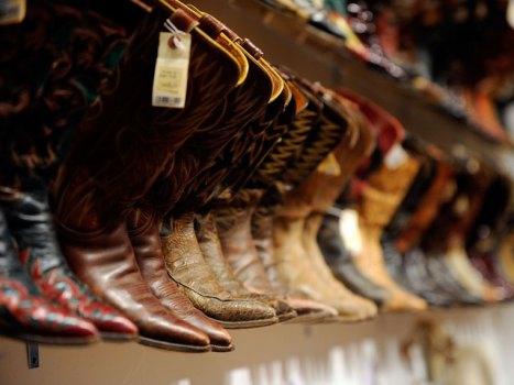 Saddle Up