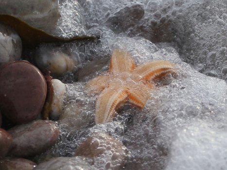 Best Tidepool Spots