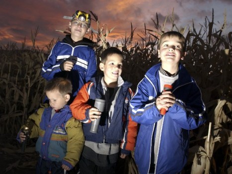 Finding The MAiZE Around California