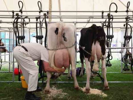Money: The Mother's Milk of California Politics