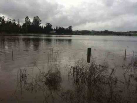No School Volunteers in Petaluma, Please