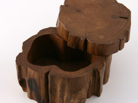 Secret Branch Boxes