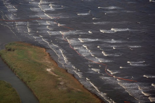 Louisiana's Disaster Spills Into California Contests