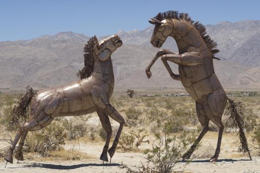 Road Trip to the Desert