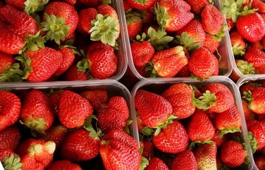 Santa Maria Valley Strawberry Festival