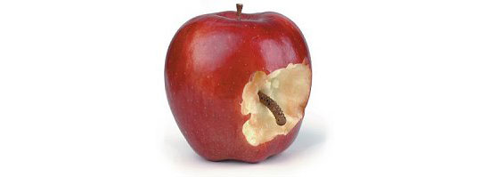 Macs a "Soft Target" for Viruses and Hackers
