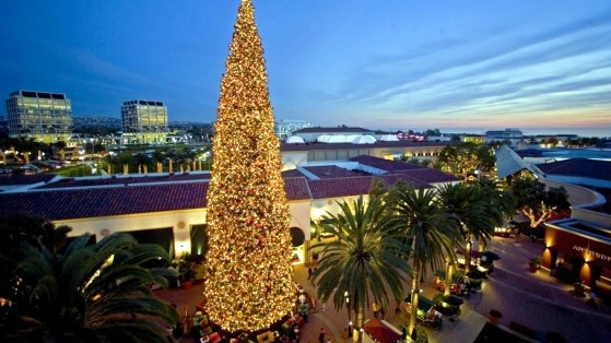 Orange County Tree Lightings