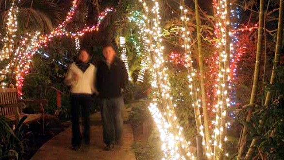 Garden of Lights 2011