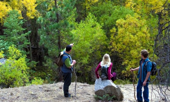 Big Bear Autumn Deals