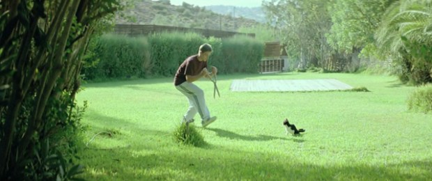 The "Dogtooth" Trailer Packs Plenty of Bite