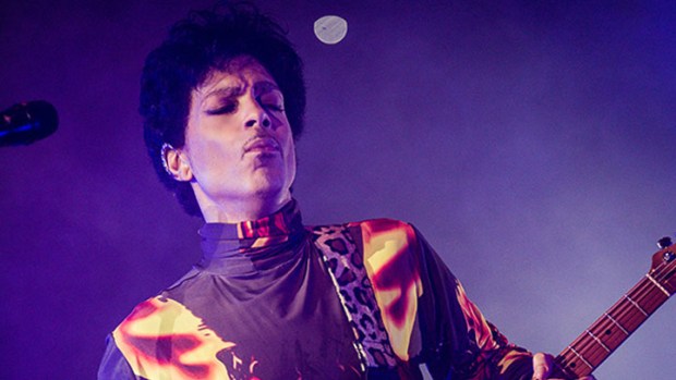 Prince to Play SD Shows