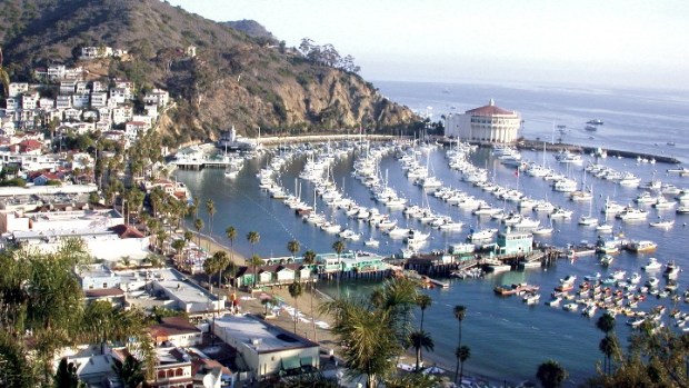 Catalina Art Fair & Exhibition