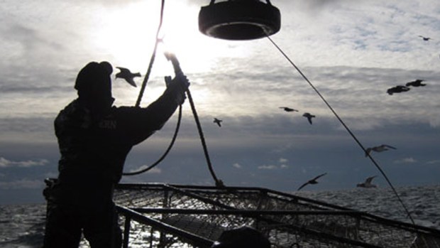 Trio of Captains Back on Board "Deadliest Catch"