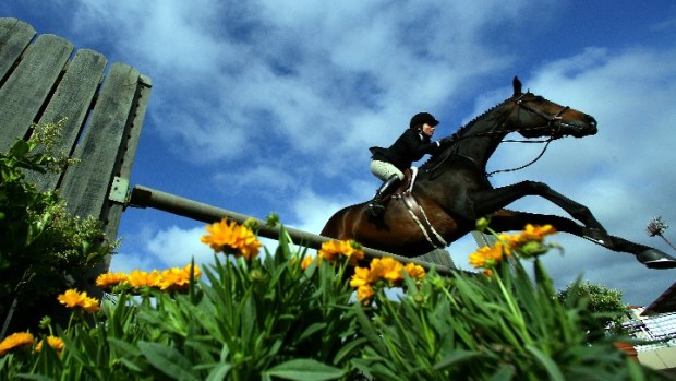 Del Mar's Grand Horse Show