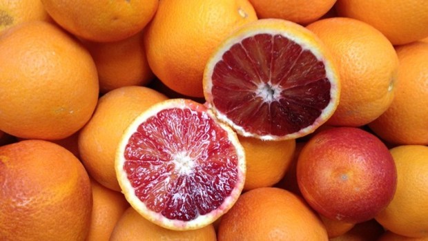 Orchard Tours Open in Ojai