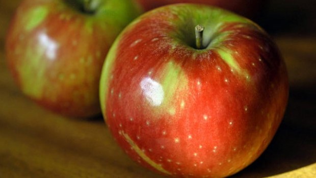 Julian Apple Days