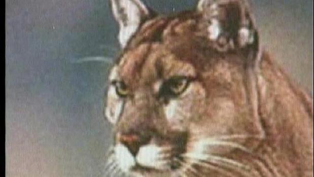 5 Reforms to Stop the Lion Killing