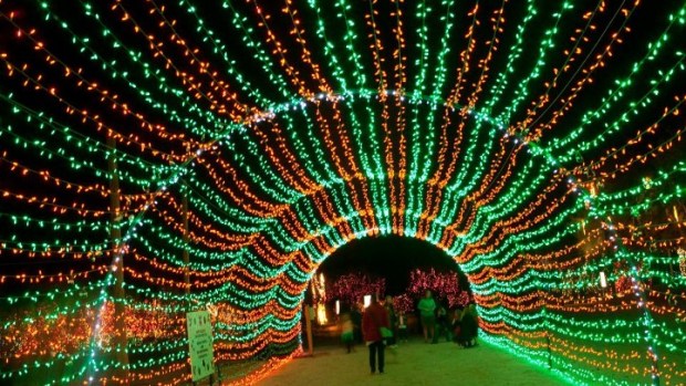 Palm Desert's Wildlights