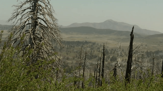 Cuyamaca Rancho State Park Restored