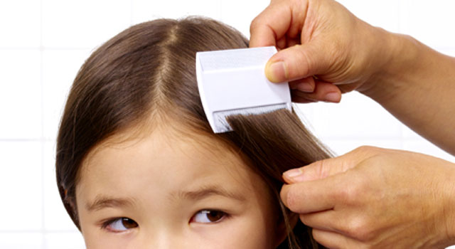 Parents Disagree on Lice Policy