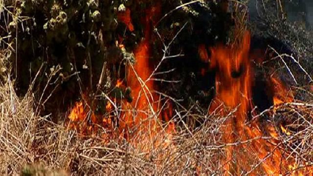 Firefighters Contain Brush Fire in Lincoln Acres: Images