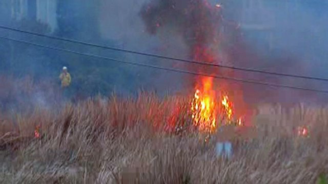 Fire in Buena Vista Lagoon