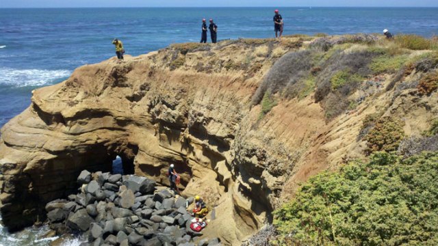 Man Falls Off Cliff