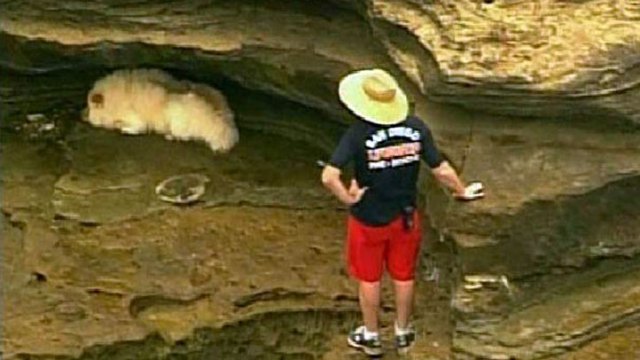 Rescue of Dog on Sunset Cliffs: Images