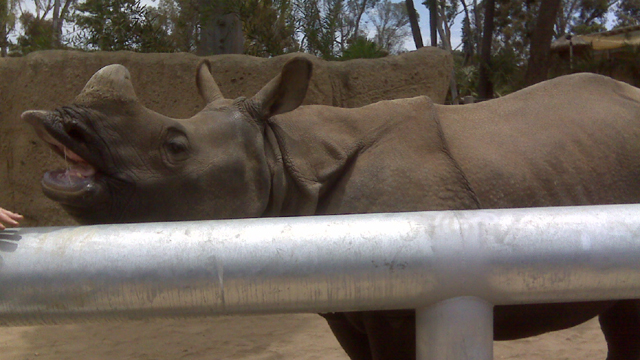 Zoo Pics from VIP Tour