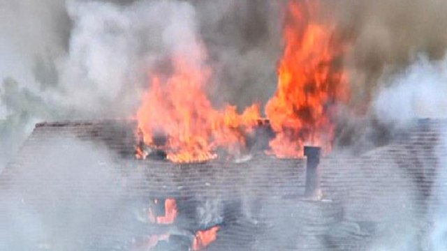 Dogs Survive Lemon Grove House Fire