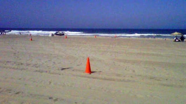 Mission Beach Closed After Shark Sightings: Images