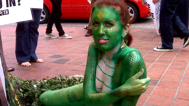 PETA Stunt Stops San Diegans in Tracks