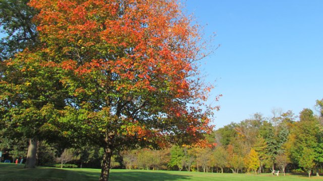 What to Do This Weekend