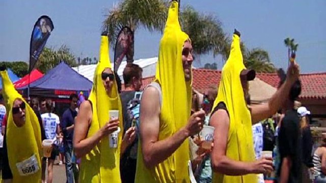 Teams Face ROC - Ridiculous Obstacle Challenge