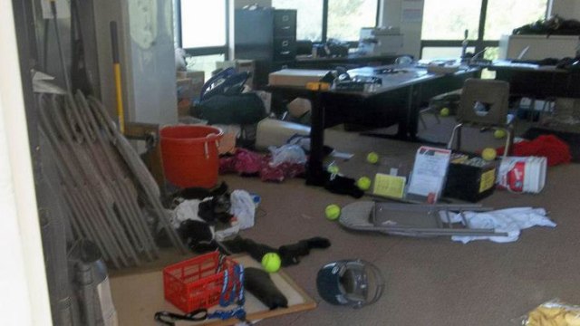 Vista Softball Field Falls Victim to Vandals Again 