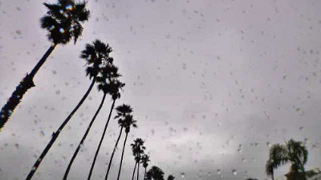 Gloomy, Wet Weekend