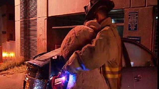 Hydrant Crash Soaks Woman, Teddy Bear